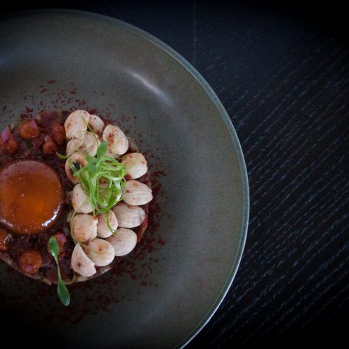 zahie_in_selen_HR-3069